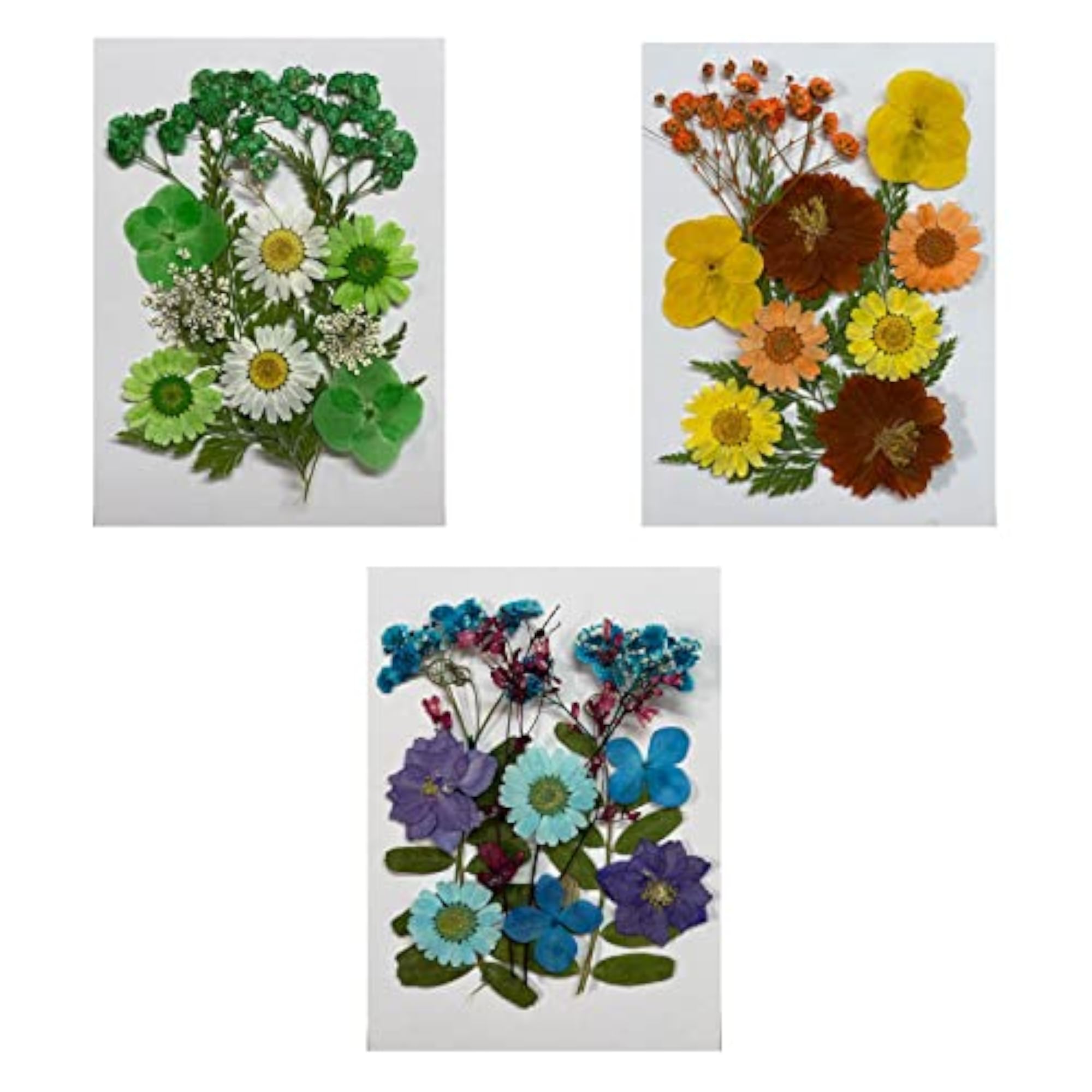 Dried Flowers Crafts Multipurpose for Table Decorations